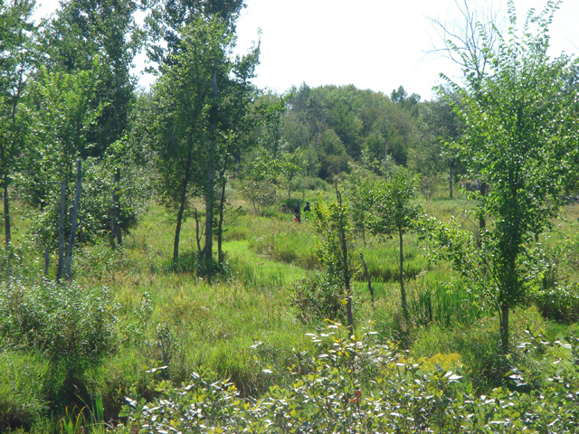 2007 Third Game