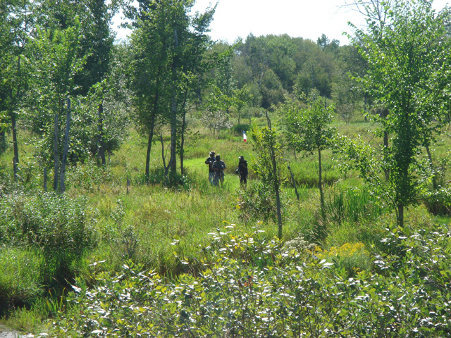 2007 Third Game