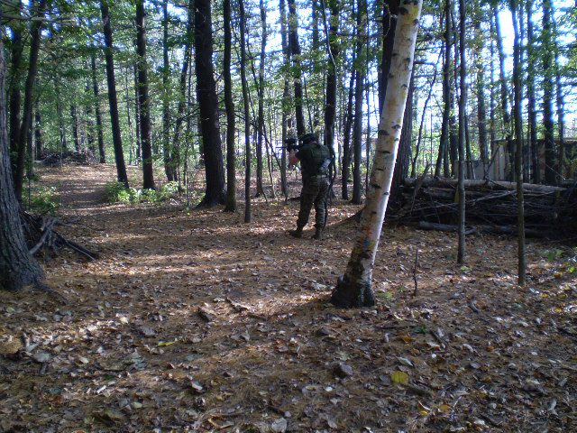 2007 Nelson Scenario