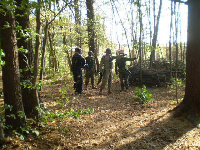 2007 Nelson Scenario