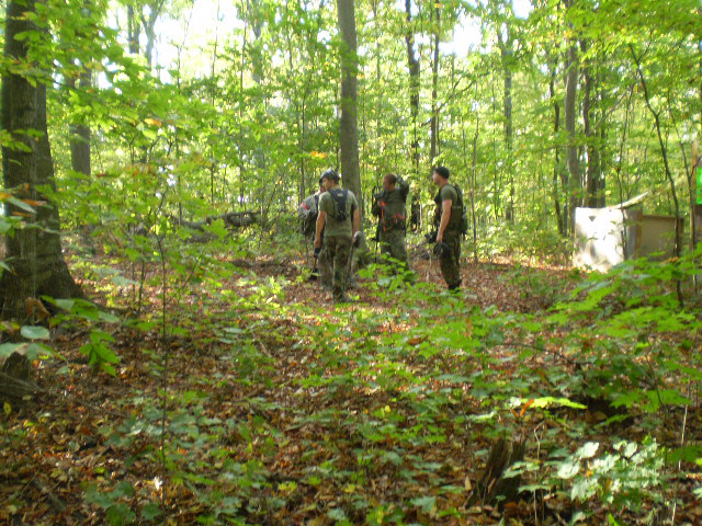 2007 Nelson Scenario