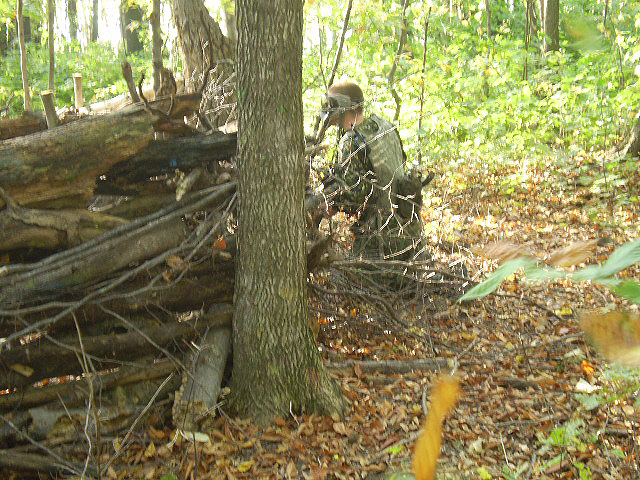 2007 Nelson Scenario