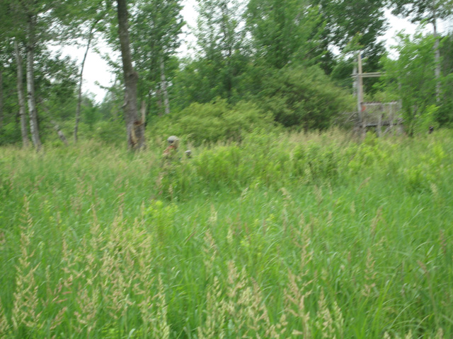 2010 Game